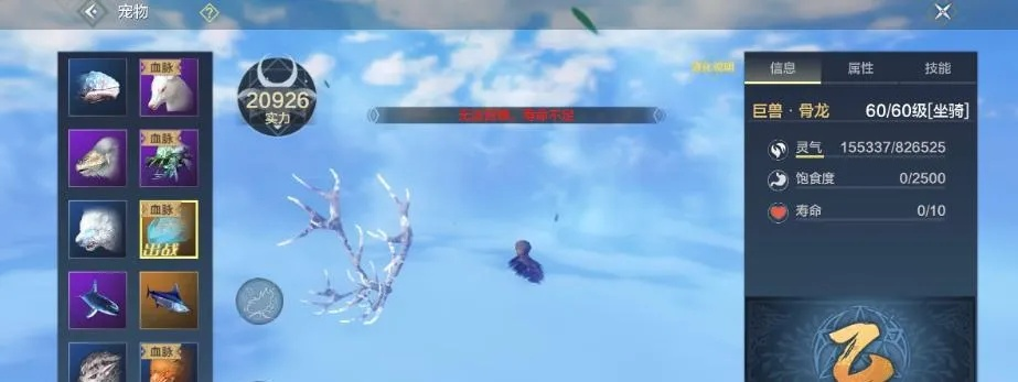 千趣台攻略:深度解析妄想山海玩法新亮点 千趣台攻略:深度解析妄想山海玩法新亮点